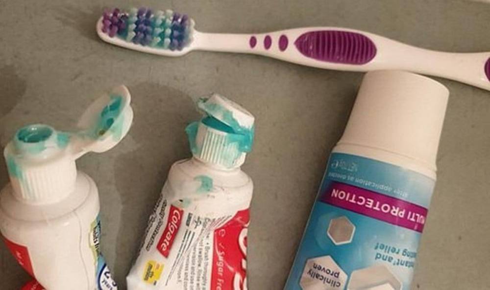 Австралийка придумала способ, как приучить дочку чистить зубы - lemurov.net - Австралия