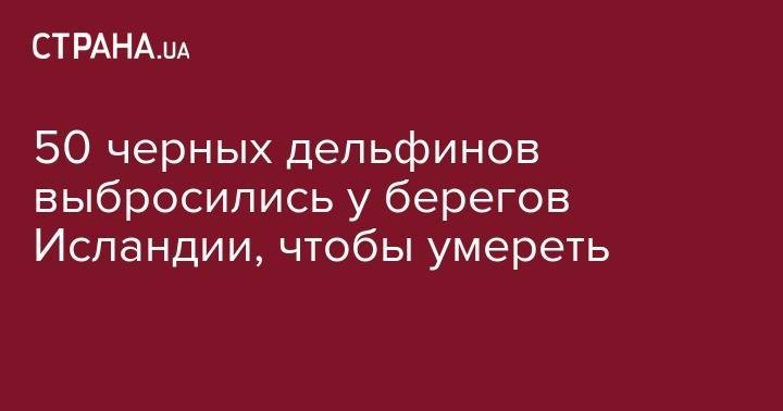 50 черных дельфинов выбросились у берегов Исландии, чтобы умереть - strana.ua - Англия - Исландия