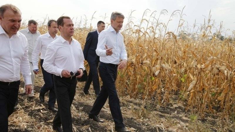Дмитрий Медведев - Медведев заявил о намерении поменять структуру экспорта сельхоз-товаров - polit.info - Россия - Новости