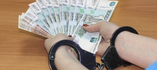 Бросила деньги на приборную панель: в Тюменской области женщина попыталась подкупить полицейских - news.megatyumen.ru - Челябинская обл. - Тюменская обл. - Заводоуковск