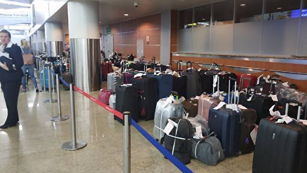 Проверку в Шереметьево ситуации с багажом завершат через одну-две недели — Информационное Агентство "365 дней" - 365news.biz - Москва - Россия