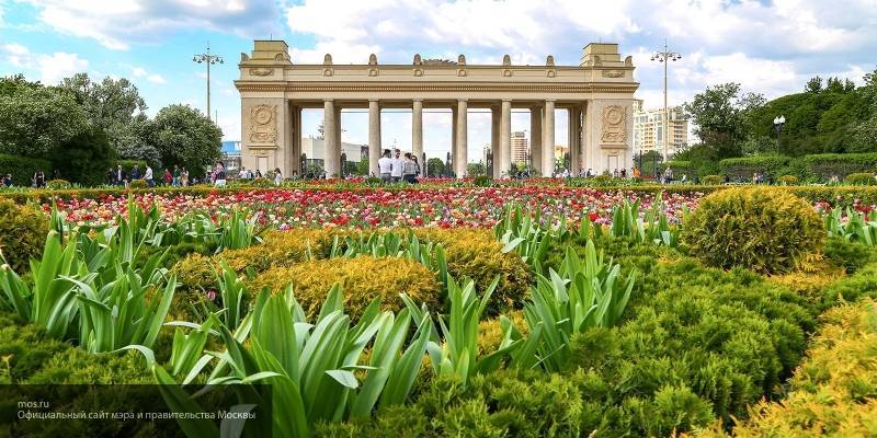 Голый мужчина пытался устроить пробежку по Парку Горького - nation-news.ru - Москва - Рим