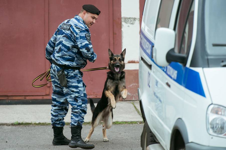 Арсенал боеприпасов найден в доме в ТиНАО - m24.ru - Москва