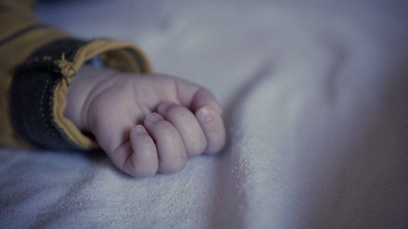 Петербурженка в 37 лет родила четверню - polit.info - Россия - Санкт-Петербург - Петербург