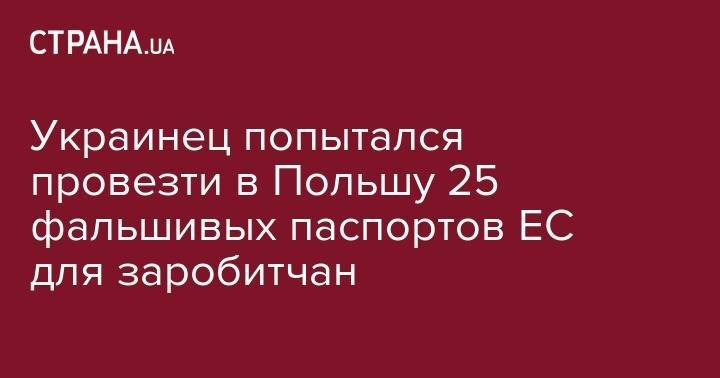 Украинец попытался провезти в Польшу 25 фальшивых паспортов ЕС для заробитчан - strana.ua - Украина - Франция - Румыния - Польша - Литва - Болгария