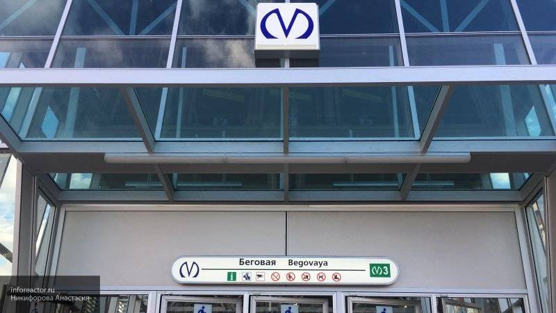 Петр Ветров - Новая красочная схема петербургского метро появилась в Сети - nation-news.ru - Санкт-Петербург