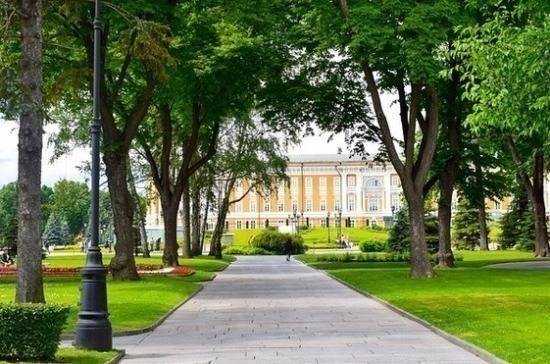 Вячеслав Макаров - Петербургские депутаты предложили увеличить территорию зелёных насаждений города - pnp.ru - Россия - Санкт-Петербург