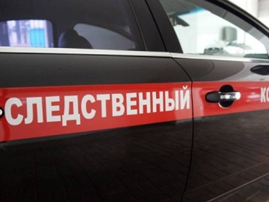 Раскрыто убийство матери шестерых детей в Башкирии - vestirossii.com - Башкирия