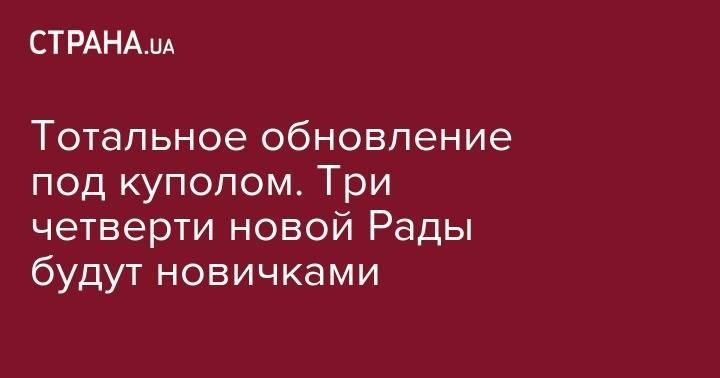 Святослав Вакарчук - Тотальное обновление под куполом. Три четверти новой Рады будут новичками - strana.ua - Украина