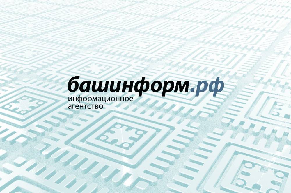 В Уфе многодетной матери отказались предоставить земельный участок // ОБЩЕСТВО | новости башинформ.рф - bashinform.ru - Уфа