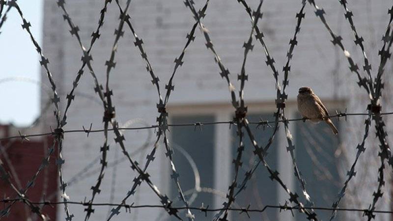 Главу&nbsp;«Русского союза Латвии» могут посадить за поздравление - polit.info - Латвия
