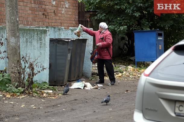 Виктор Бобыря - Стройжилтехнадзор Коми разъяснил правила содержания мусорных контейнеров - bnkomi.ru