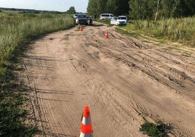 После гибели четырехлетнего ребенка под Спасском ГИБДД обратилась к рязанцам - ya62.ru - Спасск - Рязань