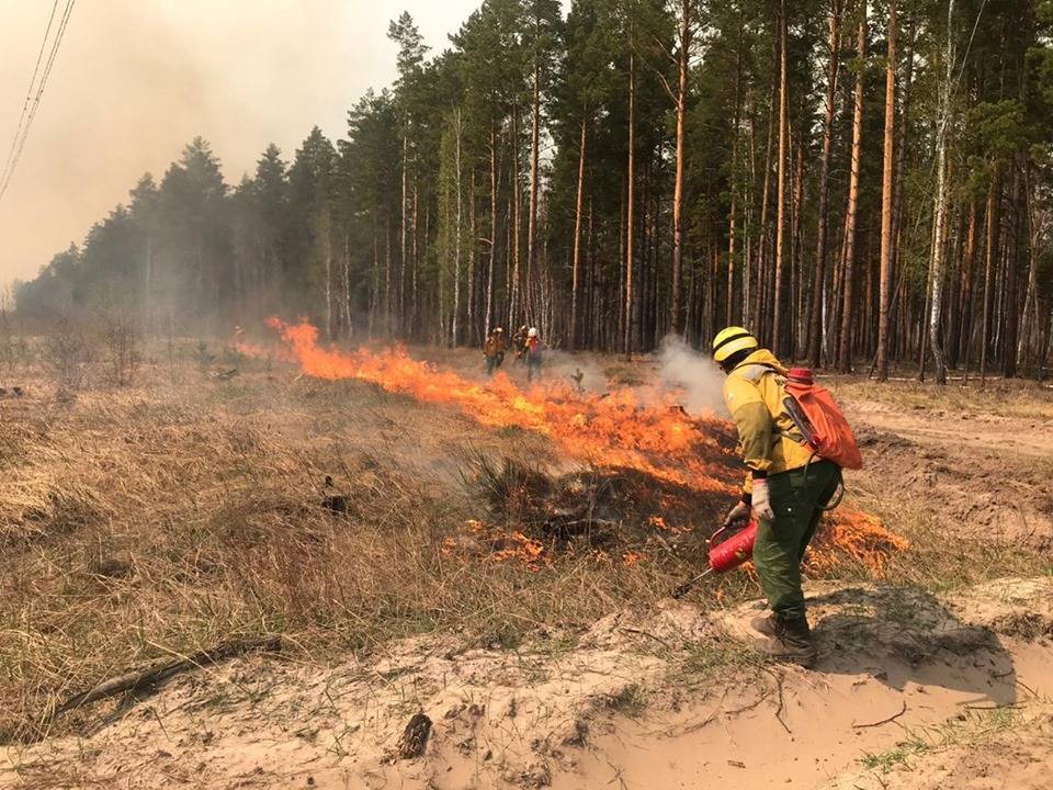 Масштабный лесной пожар в Португалии локализован - cursorinfo.co.il - Португалия