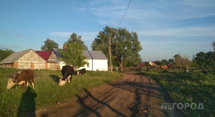 Евгений Лебедев - Китайцы вложили 150 миллионов рублей в будущий агропарк в Порецком районе - pg21.ru - Китай - респ. Чувашия - Мордовия