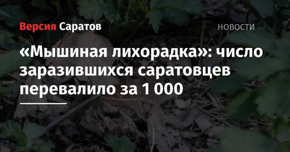 «Мышиная лихорадка»: число заразившихся саратовцев перевалило за 1000 - nversia.ru - Саратовская обл. - Саратов