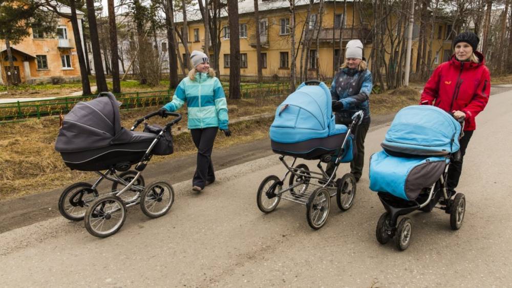 Владимир Путин - Андрей Кутепов - В России могут увеличить налоговый вычет для многодетных в два раза - riafan.ru - Москва - Россия