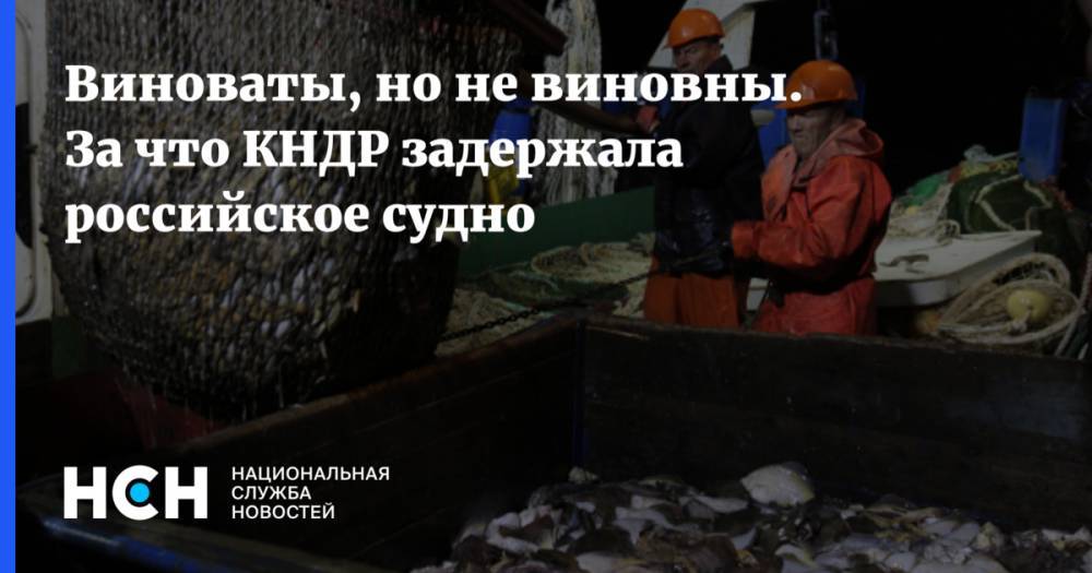 Виноваты, но не виновны. За что КНДР задержала российское судно - nsn.fm - Россия - Южная Корея - КНДР - Владивосток