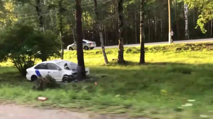 На Приморском шоссе каршеринг врезался в дерево - piter.tv - Санкт-Петербург - Сестрорецк