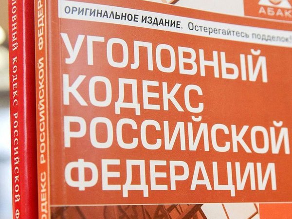 Элла Памфилова - Следователи возбудили дело из-за митинга независимых кандидатов в Мосгордуму - polit.ru - Москва - Россия - Москва