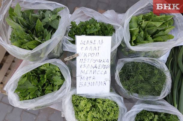 Марья Шумейко - Антонина Стародубова - Диетологи назвали зелень, помогающую победить стресс - bnkomi.ru - Москва