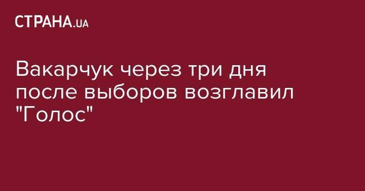 Святослав Вакарчук - Вакарчук через три дня после выборов возглавил "Голос" - strana.ua - Россия - Украина
