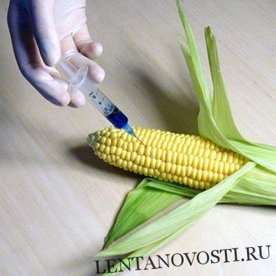 ГМ продукты питания помогут прокормить 10 млрд. человек на Земле - lentanovosti.ru - Бразилия - шт.Флорида - Уганда