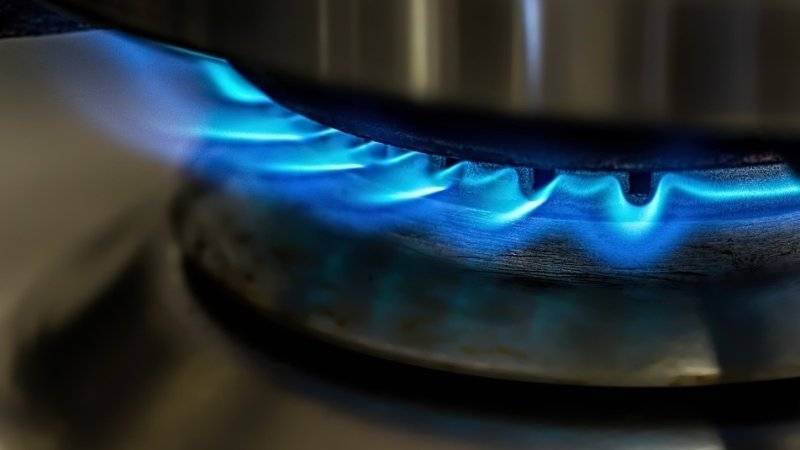 Дмитрий Фирташ - Крупнейшие газовые компании на Украине заподозрили в монополии - polit.info - Украина