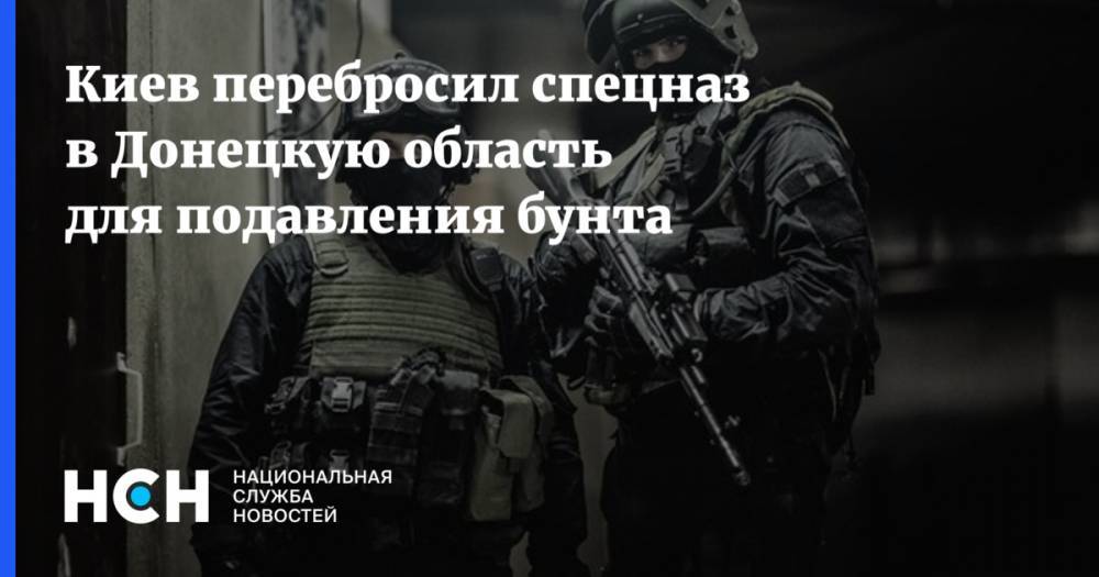 Владимир Зеленский - Киев перебросил спецназ в Донецкую область для подавления бунта - nsn.fm - Украина - обл. Донецкая - Покровск