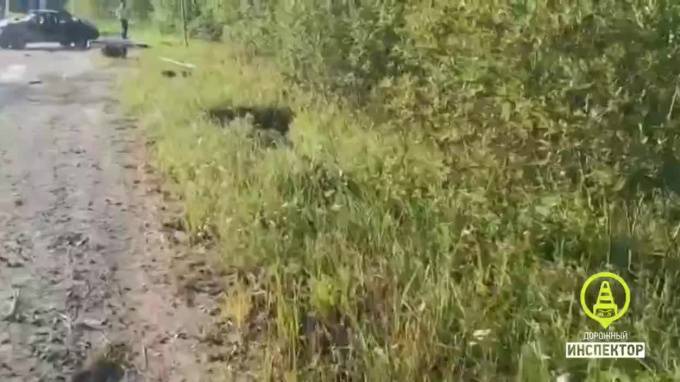 Lada Granta - Водитель Lada Granta разбился в Киришском районе Ленобласти - piter.tv - Ленинградская обл. - Санкт-Петербург