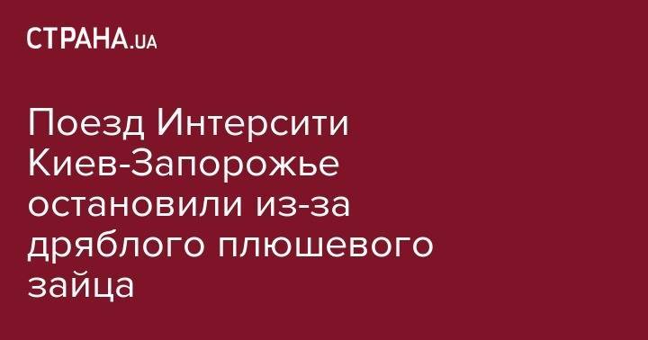 Поезд Интерсити Киев-Запорожье остановили из-за дряблого плюшевого зайца - strana.ua - Киев - Харьков - Запорожье