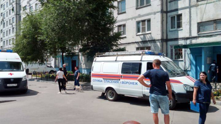 В Воронеже спасатели съехались к многоэтажке из-за женщины в окне
- Новости Воронежа - moe-online.ru - Воронеж