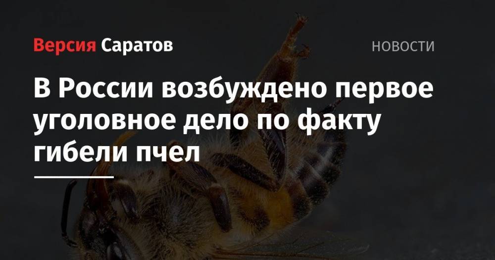 В России возбуждено первое уголовное дело по факту гибели пчел - nversia.ru - Россия - Орловская обл. - Саратовская обл.