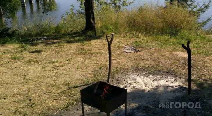 В Чувашии мужчина поджог лицо во время розжига мангала - pg21.ru - респ. Чувашия - Новочебоксарск