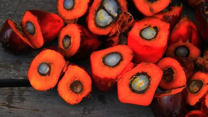 Андрей Макаров - Госдума повысила НДС на пальмовое масло до 20% - polit.info