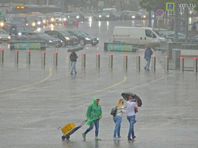 Около трети месячной нормы осадков выпало в столице за минувшие сутки - vm.ru - Москва - Россия - Московская обл. - Волоколамск - Можайск