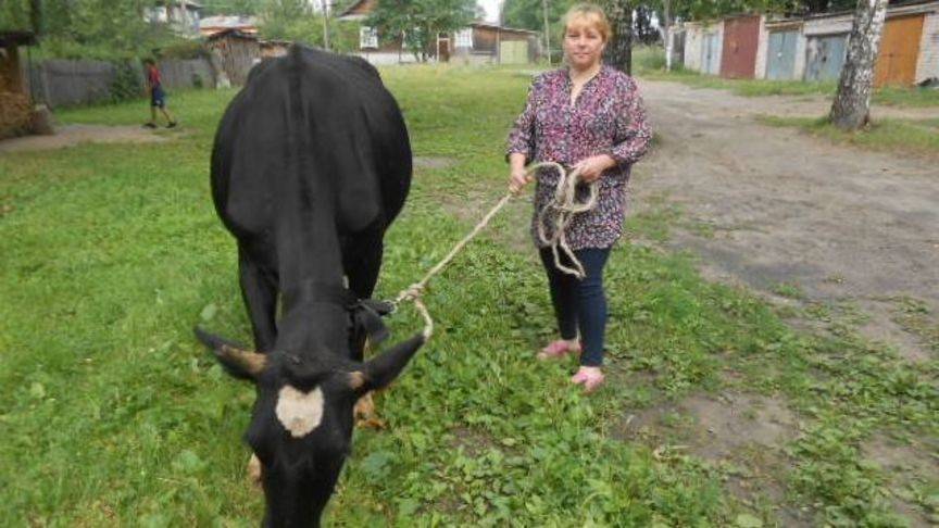 Владимир Путин - Многодетные, неполные и малообеспеченные семьи могут воспользоваться социальным контрактом - 1istochnik.ru - Кировская обл.