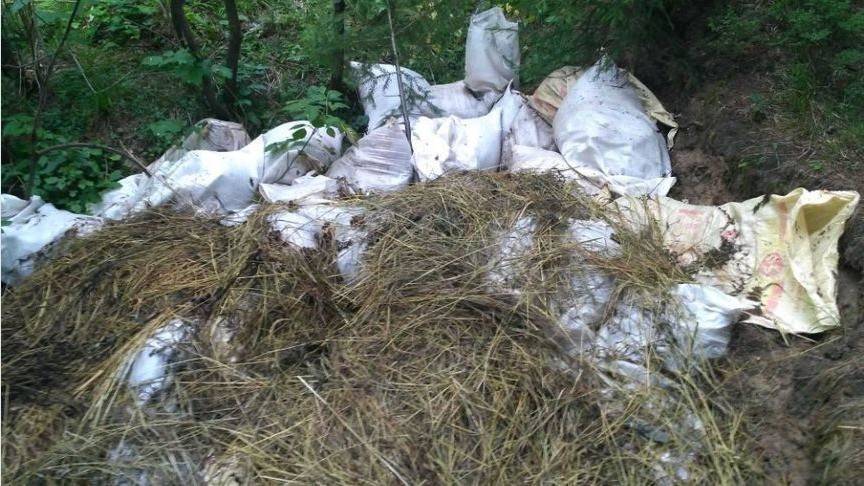 Лес в Ганино превратился в навозную свалку - 1istochnik.ru - Россия - Кировская обл.