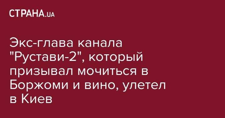 Ника Гварамия - Экс-глава канала "Рустави-2", который призывал мочиться в Боржоми и вино, улетел в Киев - strana.ua - Россия - Украина - Киев - Грузия - Тбилиси