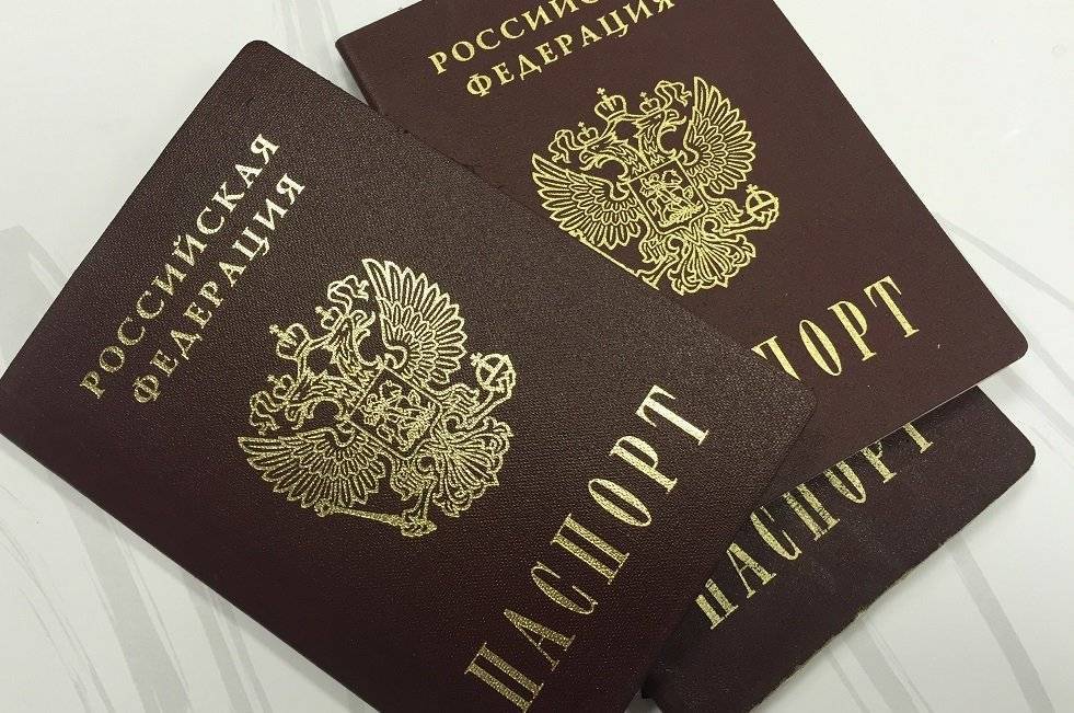 Максим Акимов - Электронный паспорт гражданина РФ оснастят чипом последнего поколения - politexpert.net - Россия