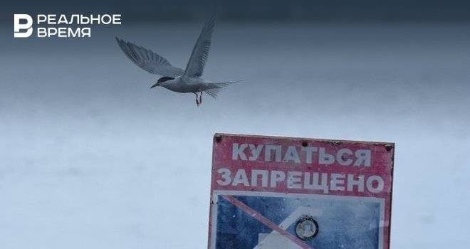 Олег Тихонов - В МЧС Татарстана назвали пять главных причин гибели людей на воде - realnoevremya.ru - респ. Татарстан - Татарстан