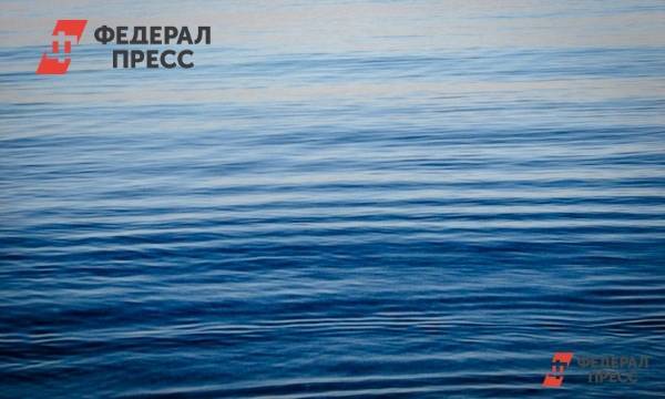 Дарья Сеймовская - Великобритания подозревает Россию в причастности к захвату танкера Ираном | Москва | ФедералПресс - fedpress.ru - Москва - Россия - Украина - Англия - Лондон - Иран - Великобритания