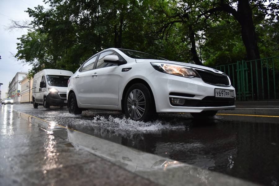 Водителей попросили не парковать автомобили под деревьями из-за грозы - m24.ru - Москва