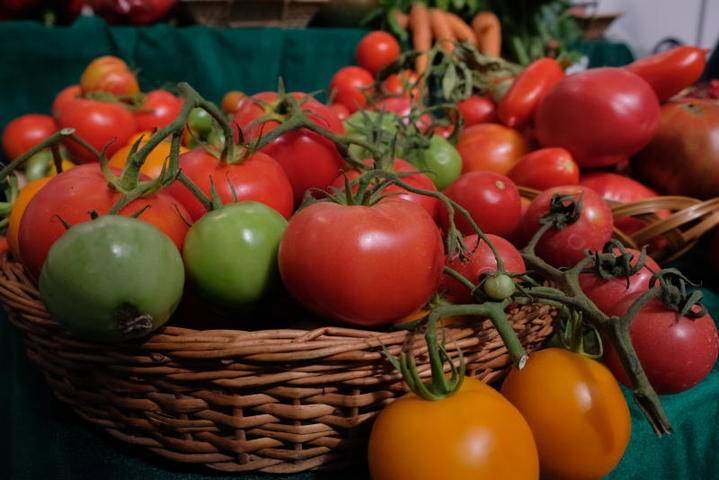 Владимир Ефимов - Объем экспорта агропромышленной продукции Москвы составил 1,1 миллиарда долларов - vm.ru - Москва