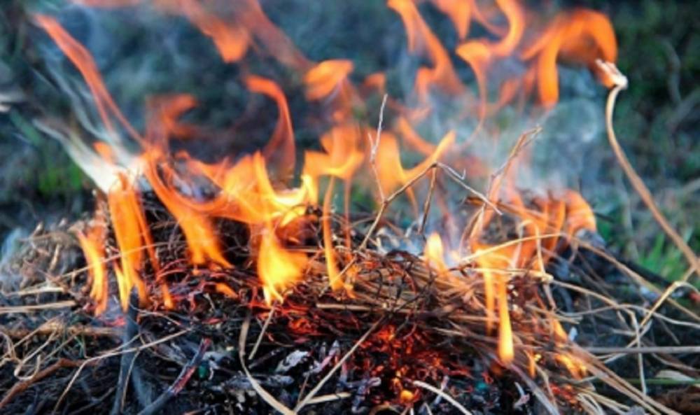 В Зауралье сохранится чрезвычайный 5 класс пожароопасности - bash.news - Россия - Башкирия