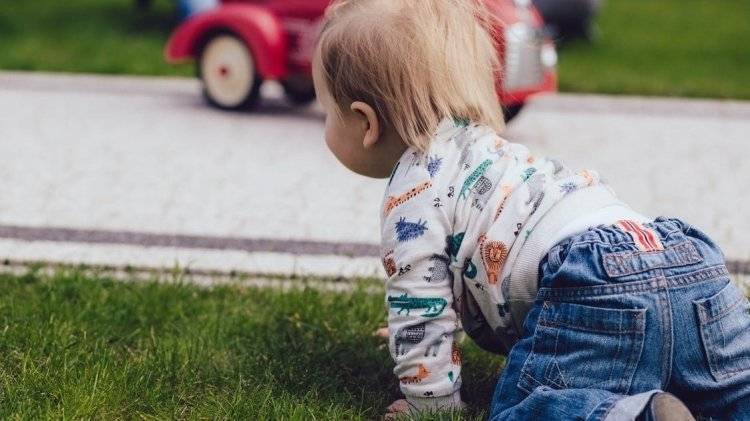 Вячеслав Володин - ГД приняла закон о выплате детских пособий до трех лет - polit.info