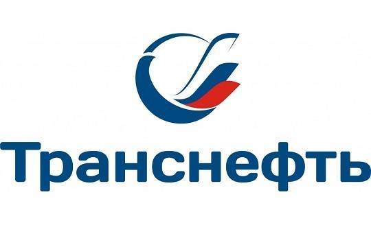 Александр Новак - Игорь Демин - Стал известен размер компенсации «Транснефти» за грязное сырье в «Дружбе» - versia.ru - Россия