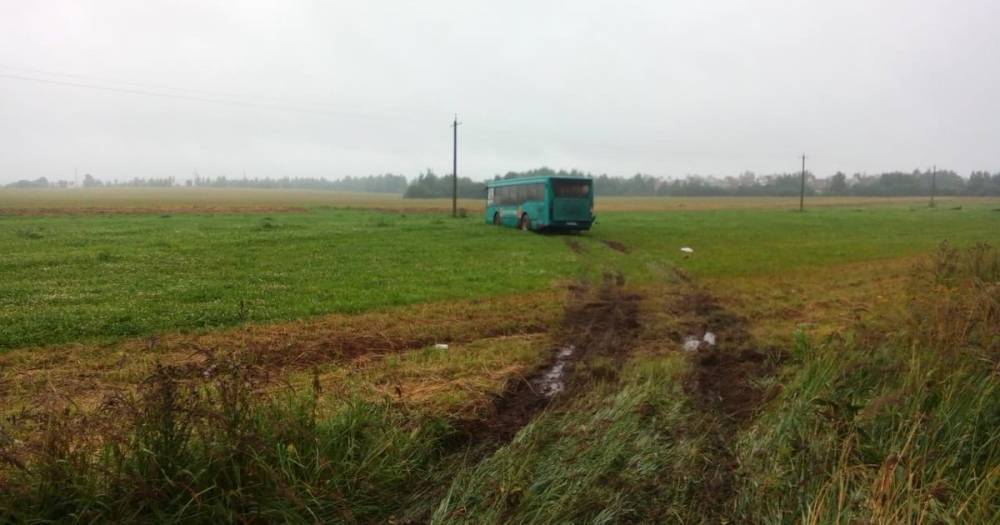 Полицейские прокомментировали жуткую аварию в Смоленской области - readovka.ru - Смоленская обл. - Сколково