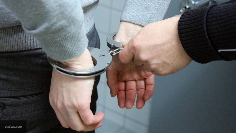Дарья Балясникова - Полиция задержала садиста, избившего шестилетнего мальчика в Вологодской области - nation-news.ru - Вологодская обл.