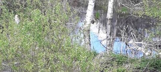 Исчезли водоплавающие птицы и рыба: в Тюменской области река "погибла" из-за сброса канализационных стоков - news.megatyumen.ru - Россия - Тюмень